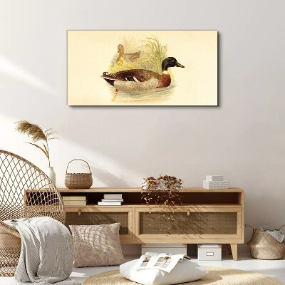 Tableau imprimé sur toile Canards dans l'herbe