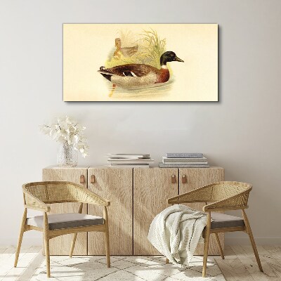 Tableau imprimé sur toile Canards dans l'herbe