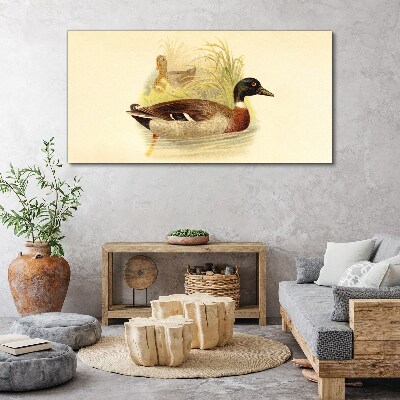 Tableau imprimé sur toile Canards dans l'herbe
