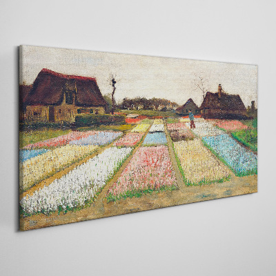 Tableau imprimé sur toile Champs de tulipes au printemps