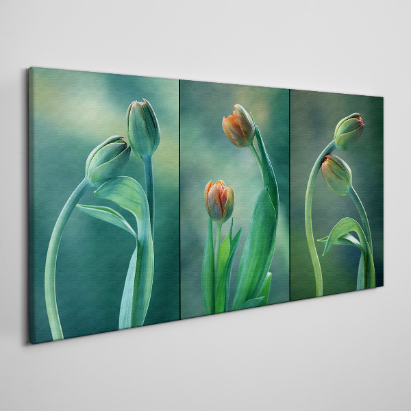 Tableau sur toile Tulipes aux nuances de vert