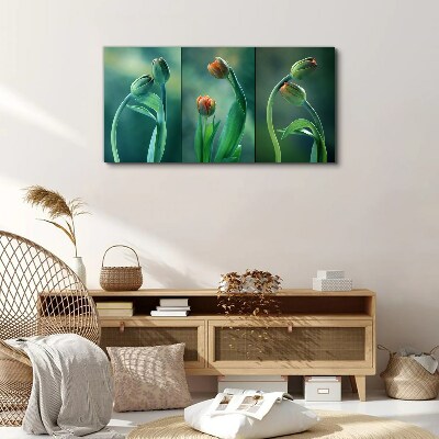 Tableau sur toile Tulipes aux nuances de vert
