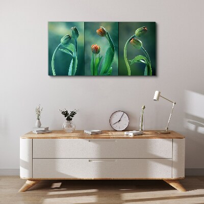 Tableau sur toile Tulipes aux nuances de vert
