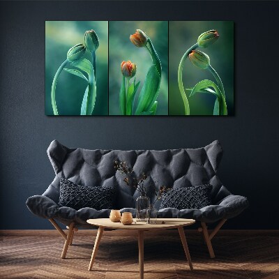 Tableau sur toile Tulipes aux nuances de vert