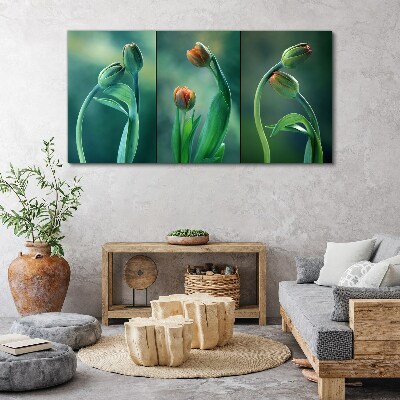 Tableau sur toile Tulipes aux nuances de vert