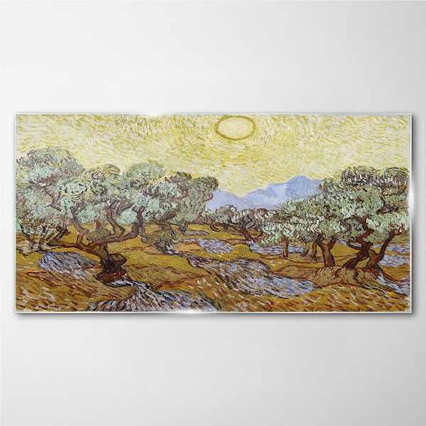 Tableau verre imprimé Oliviers au soleil