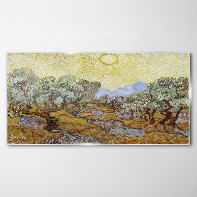 Tableau verre imprimé Oliviers au soleil