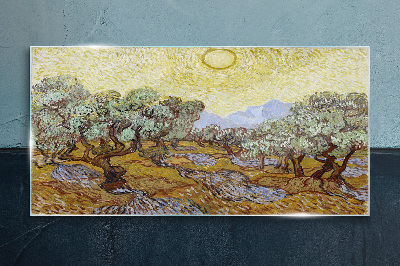 Tableau verre imprimé Oliviers au soleil