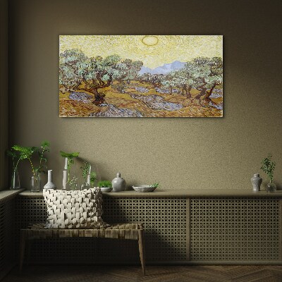 Tableau verre imprimé Oliviers au soleil