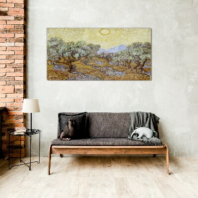 Tableau verre imprimé Oliviers au soleil
