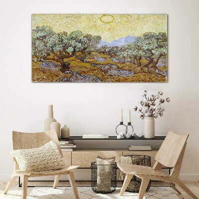 Tableau verre imprimé Oliviers au soleil