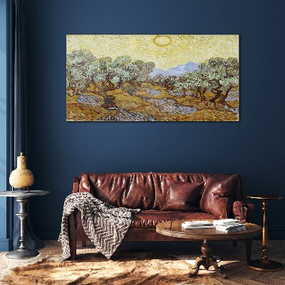 Tableau verre imprimé Oliviers au soleil