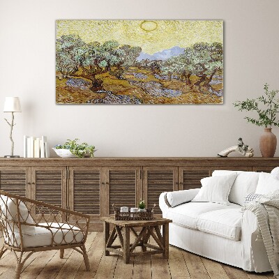 Tableau verre imprimé Oliviers au soleil