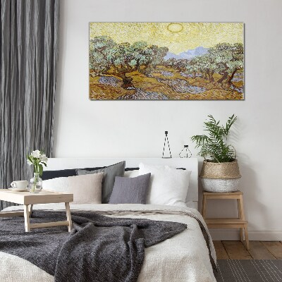 Tableau verre imprimé Oliviers au soleil