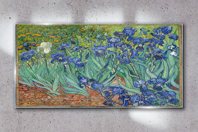 Tableau en verre Iris dans le jardin