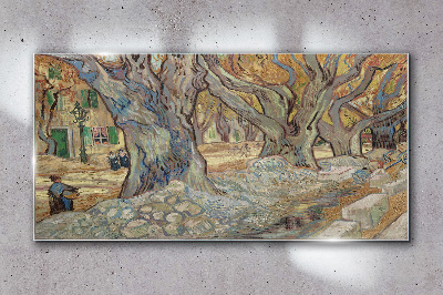 Tableau sur verre Une rue bordée d'arbres sous le soleil printanier
