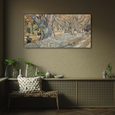 Tableau sur verre Une rue bordée d'arbres sous le soleil printanier