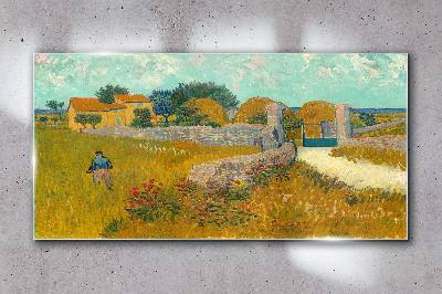 Tableau photo sur verre Paysages ruraux au soleil
