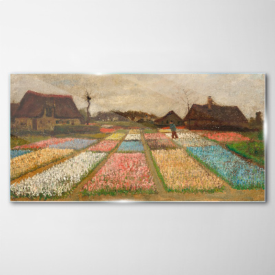 Tableau imprimé sur verre Champs de tulipes au printemps
