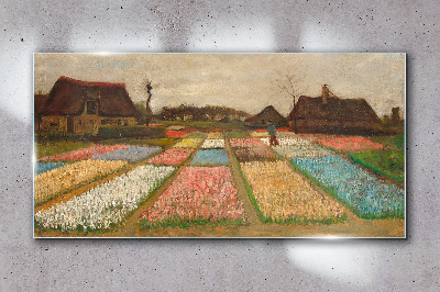 Tableau imprimé sur verre Champs de tulipes au printemps