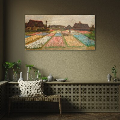 Tableau imprimé sur verre Champs de tulipes au printemps