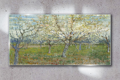 Tableau en verre Arbres en fleurs au soleil du printemps