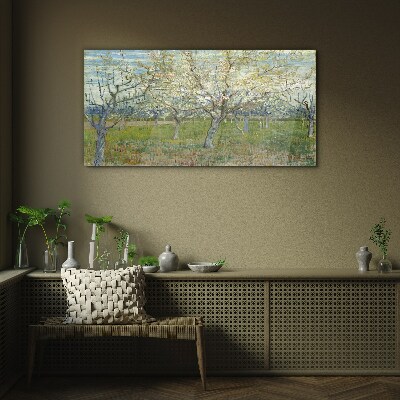 Tableau en verre Arbres en fleurs au soleil du printemps