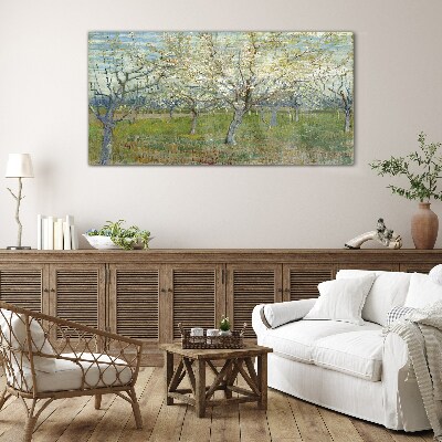 Tableau en verre Arbres en fleurs au soleil du printemps