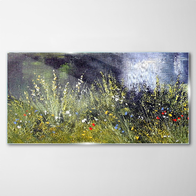 Tableau imprimé sur verre Prairie fleurie dans la lumière