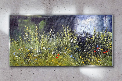 Tableau imprimé sur verre Prairie fleurie dans la lumière