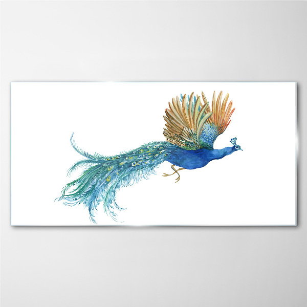 Tableau imprimé sur verre Un paon coloré en mouvement