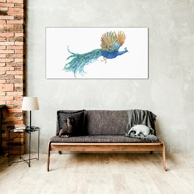 Tableau imprimé sur verre Un paon coloré en mouvement
