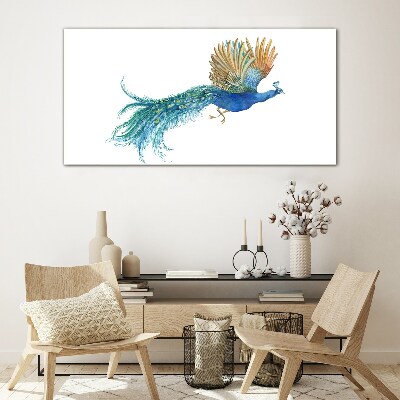 Tableau imprimé sur verre Un paon coloré en mouvement