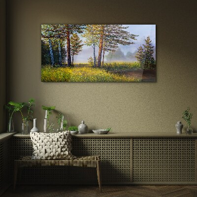 Tableau photo sur verre Brouillard matinal dans la forêt