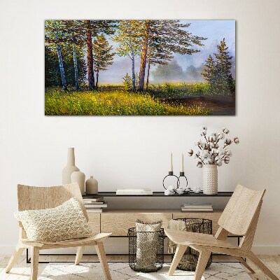 Tableau photo sur verre Brouillard matinal dans la forêt