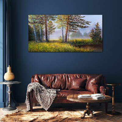 Tableau photo sur verre Brouillard matinal dans la forêt