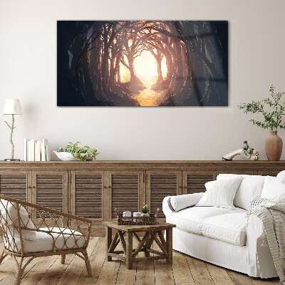Tableau sur verre Lumière dans la forêt