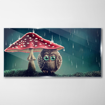 Tableau sur verre Un hibou sous un champignon sous la pluie