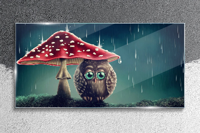 Tableau sur verre Un hibou sous un champignon sous la pluie