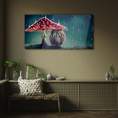Tableau sur verre Un hibou sous un champignon sous la pluie