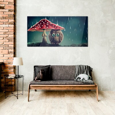 Tableau sur verre Un hibou sous un champignon sous la pluie