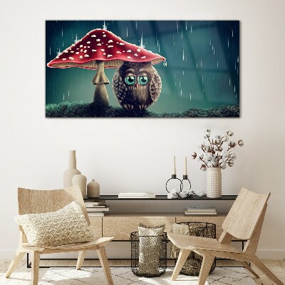 Tableau sur verre Un hibou sous un champignon sous la pluie