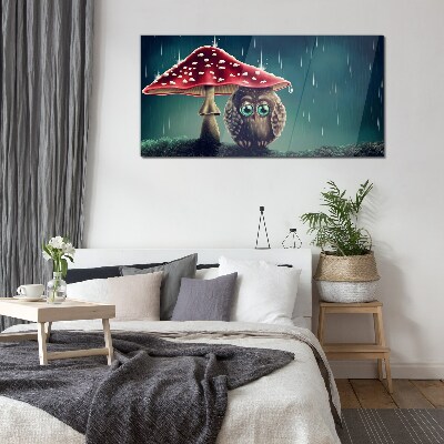 Tableau sur verre Un hibou sous un champignon sous la pluie