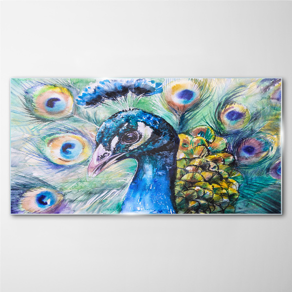 Tableau photo sur verre Un paon coloré parmi les plumes
