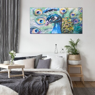 Tableau photo sur verre Un paon coloré parmi les plumes