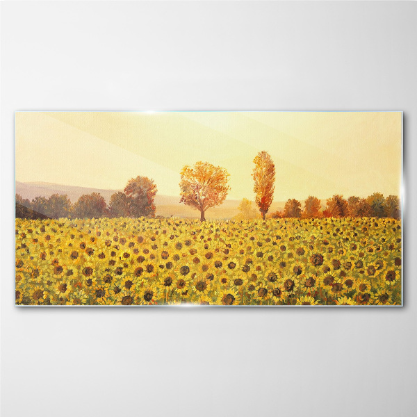 Tableau verre imprimé Champ de tournesols au soleil couchant