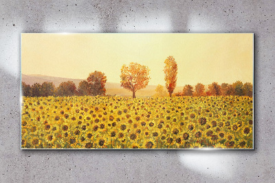 Tableau verre imprimé Champ de tournesols au soleil couchant