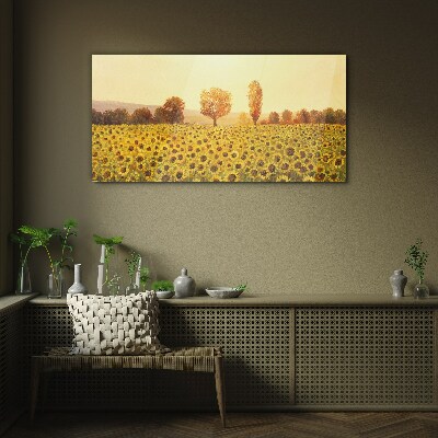 Tableau verre imprimé Champ de tournesols au soleil couchant