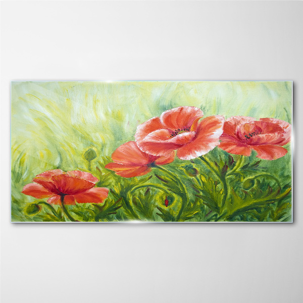 Tableau sur verre Fleurs dans une prairie au printemps