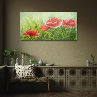 Tableau sur verre Fleurs dans une prairie au printemps